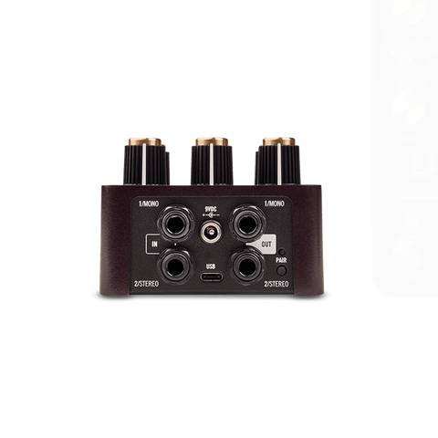 lion_gallery_3_fbfd7cbe-6bd8- lion_gallery_3_fbfd7cbe-6bd8-